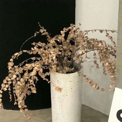 黄南FurryQQ群介绍